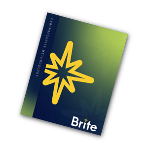 Cyber Methodology eBook Cover